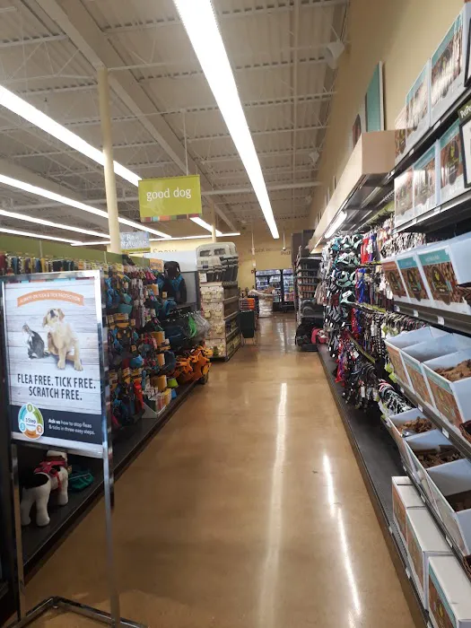 Hollywood Feed Picture 8