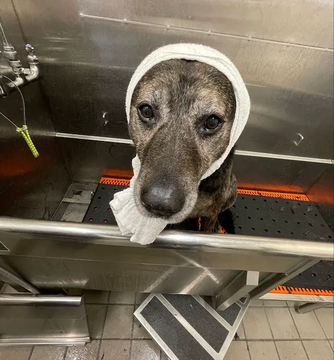 Hollywood Feed Picture 9