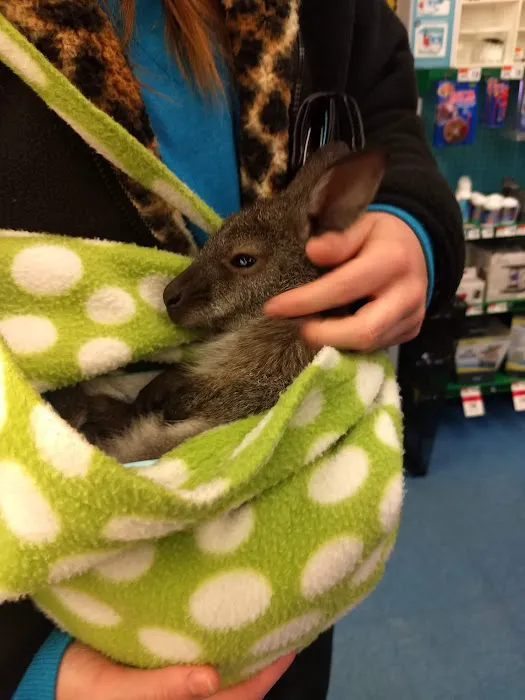 Pet Supplies Plus North Naperville Picture 1