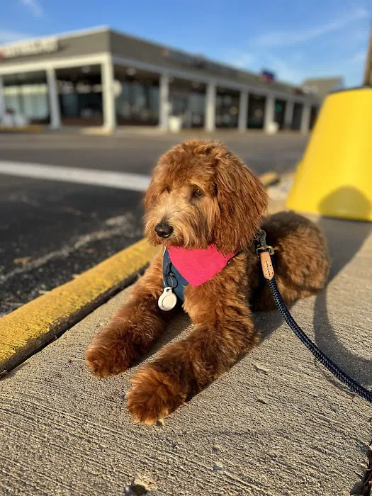 Kriser's Natural Pet Picture 2