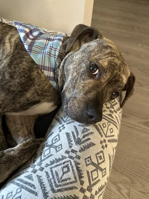 Kriser's Natural Pet Picture 5