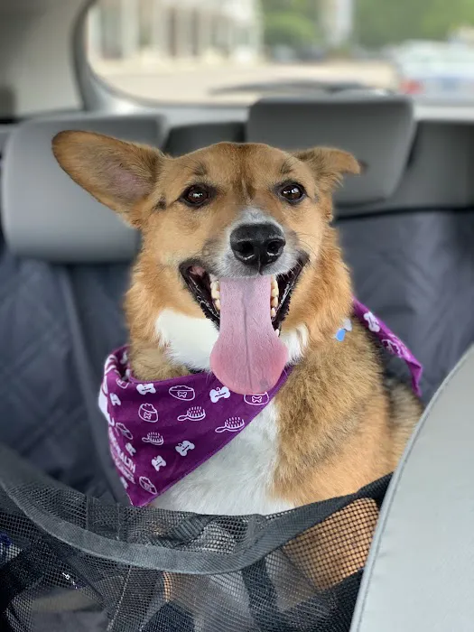 Kriser's Natural Pet Picture 8