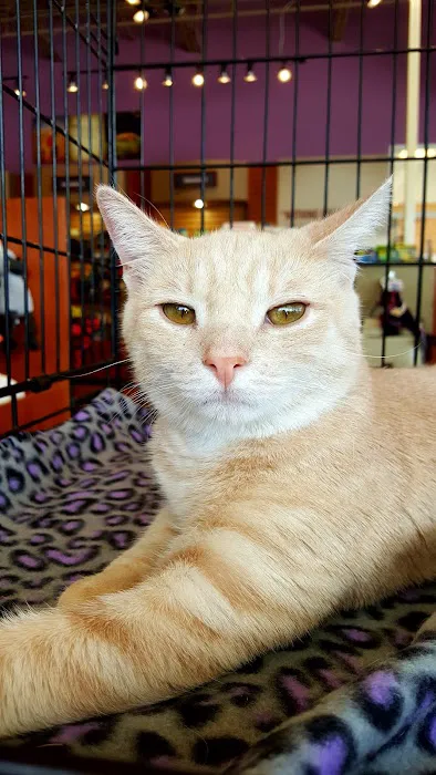 Kriser's Natural Pet Picture 10