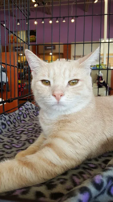 Kriser's Natural Pet Picture 9