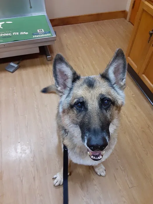 Companion Pet Hospital Picture 7