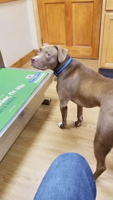 Companion Pet Hospital Picture 3