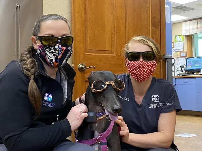 Companion Pet Hospital of Fishkill: Selzner Alisha DVM Picture 3