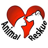 Animal Reskue ico