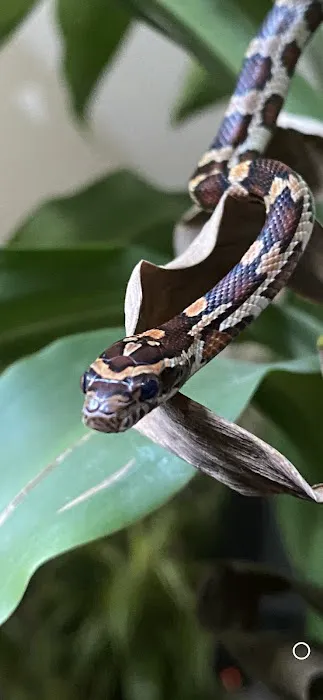 Curious Creatures Picture 9
