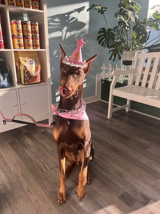 Le Barkery and Spa Picture 5