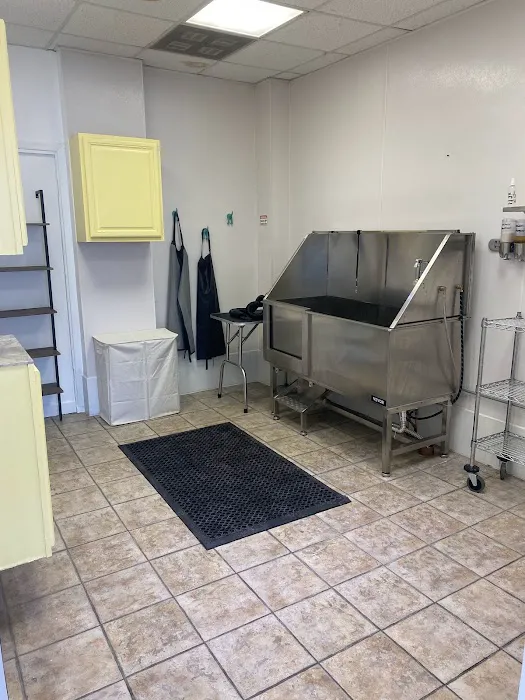 Le Barkery and Spa Picture 9