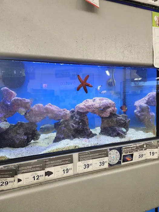 Petco Picture 4