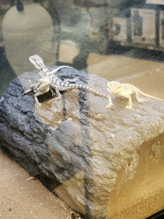 Petco Picture 6