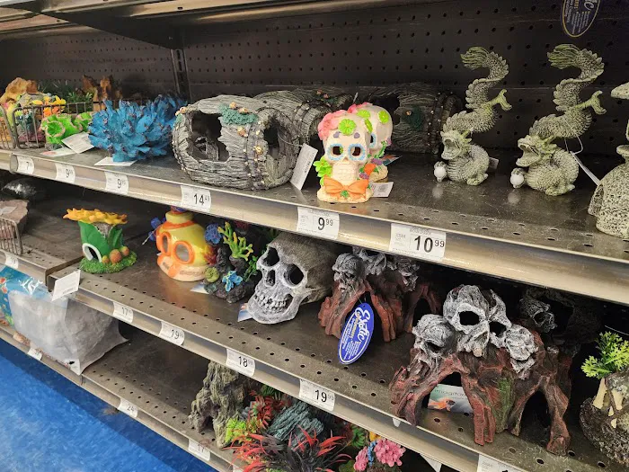 Petco Picture 8