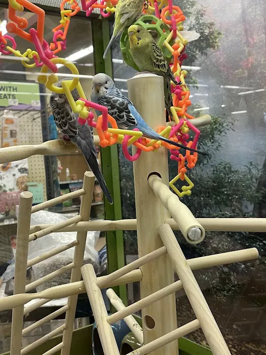 Petco Picture 9