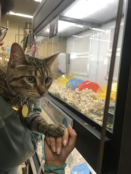 Petco Picture 10