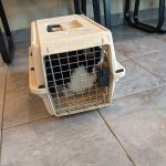 Greenwood Lake Animal Hospital