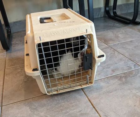 Greenwood Lake Animal Hospital
