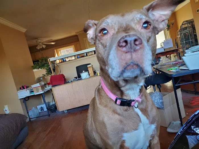 Greenwood Lake Animal Hospital Picture 8