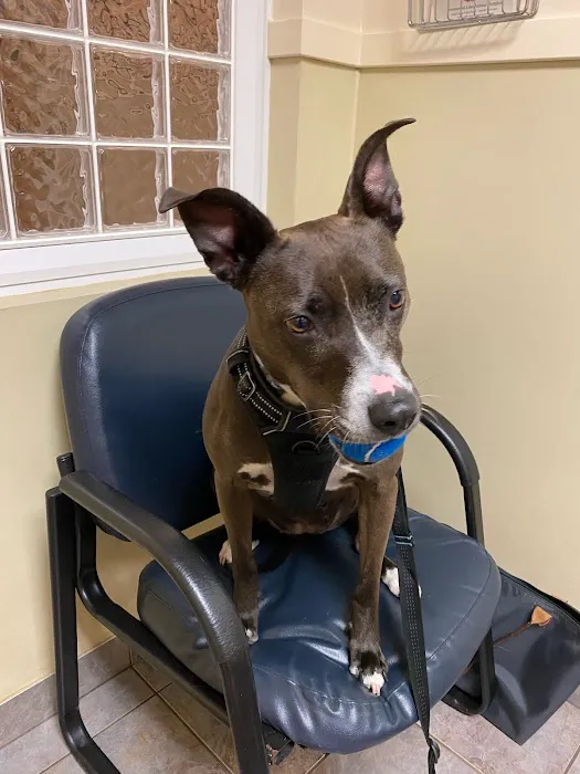 Greenwood Lake Animal Hospital Picture 2