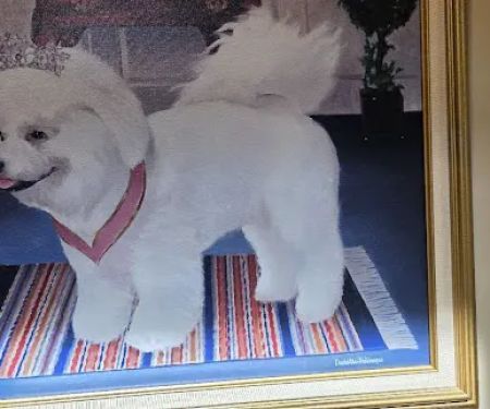 Greenwood Lake Animal Hospital: Goldstein Bennett DVM