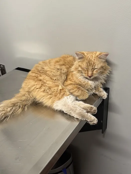 Vernon Veterinary Clinic Picture 2