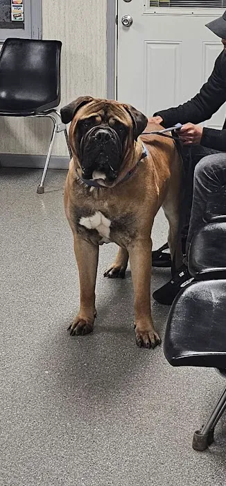 Vernon Veterinary Clinic Picture 4