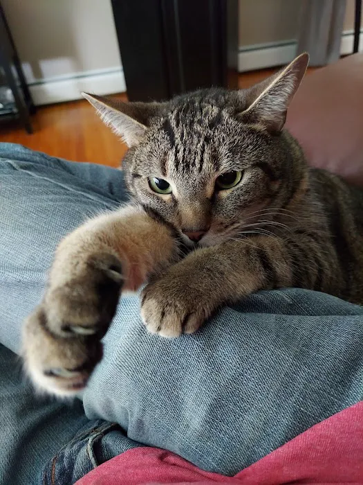 Vernon Veterinary Clinic Picture 3