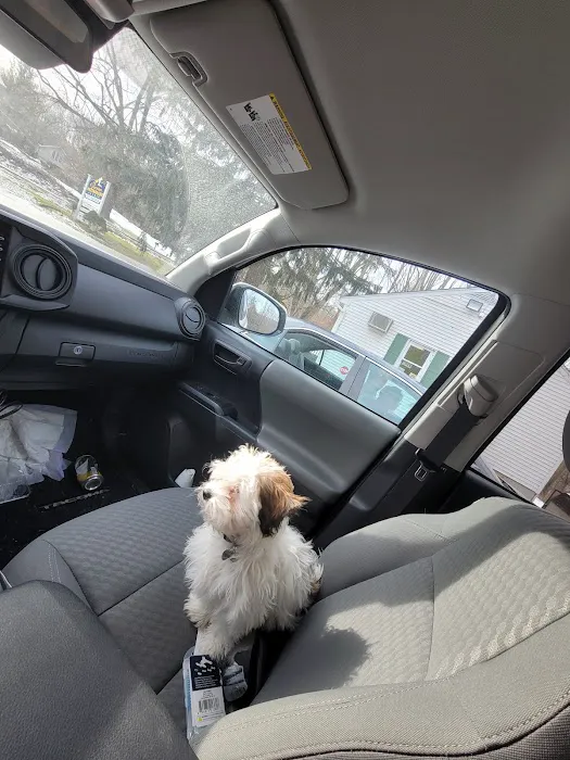 Vernon Veterinary Clinic Picture 5