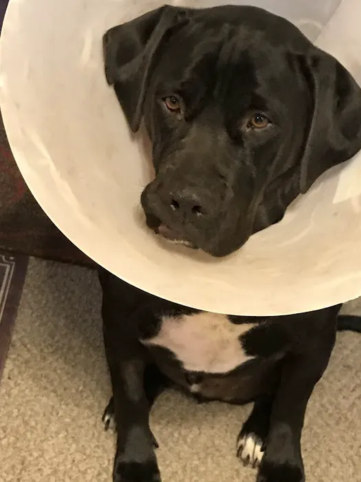 Vernon Veterinary Clinic Picture 1