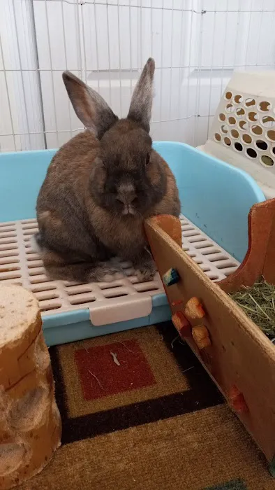 Vernon Veterinary Clinic Picture 6