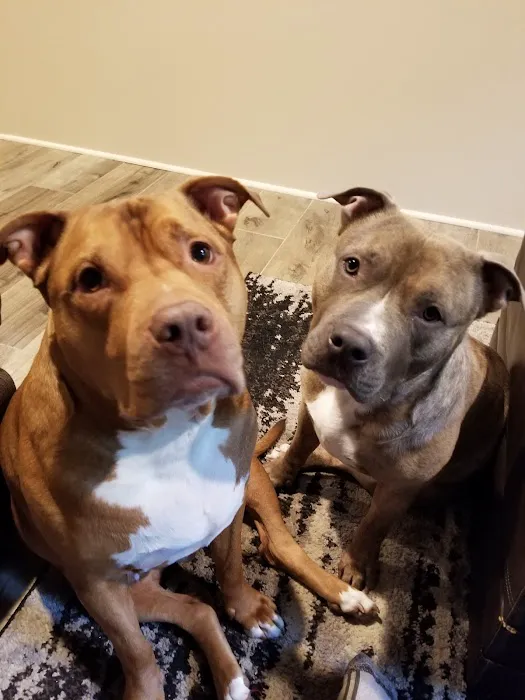 Vernon Veterinary Clinic Picture 8