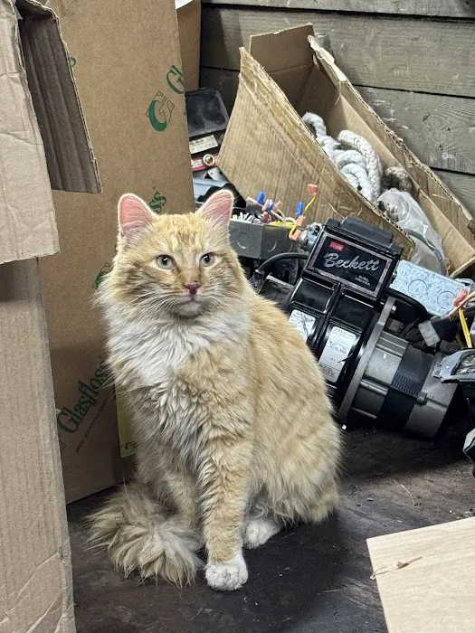 Vernon Veterinary Clinic Picture 10