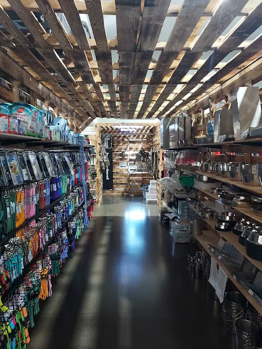 Heart String Healthy Puppies Picture 6