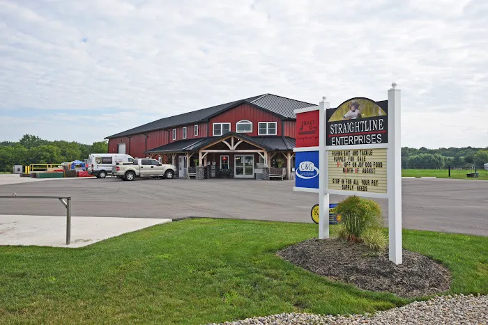 Heart String Healthy Puppies Picture 9