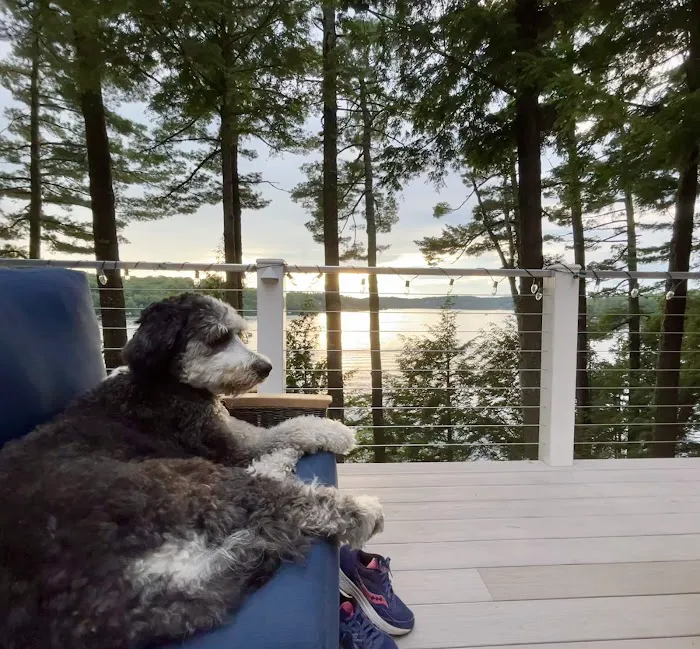 Jockey Hollow Veterinary Practice Picture 1