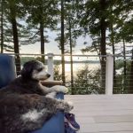 Jockey Hollow Veterinary Practice
