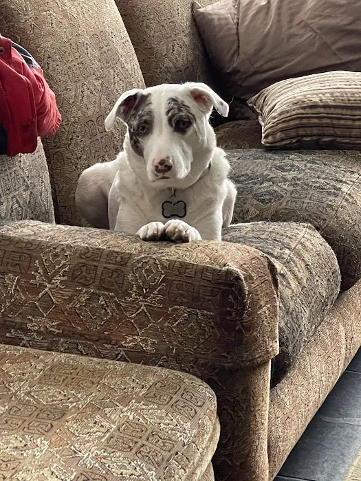 Jockey Hollow Veterinary Practice Picture 5