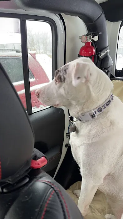 Jockey Hollow Veterinary Practice Picture 7