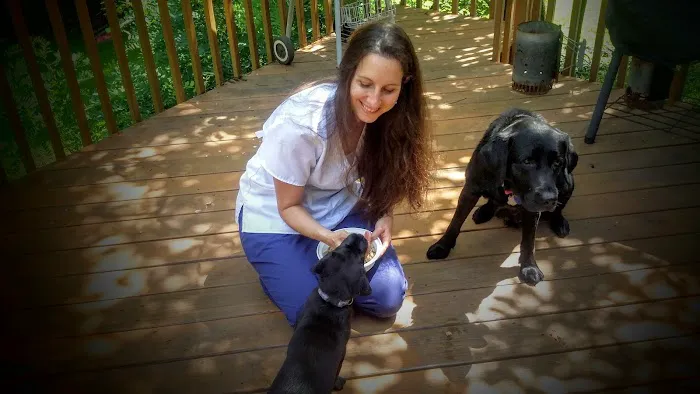 Jockey Hollow Veterinary Practice Picture 4