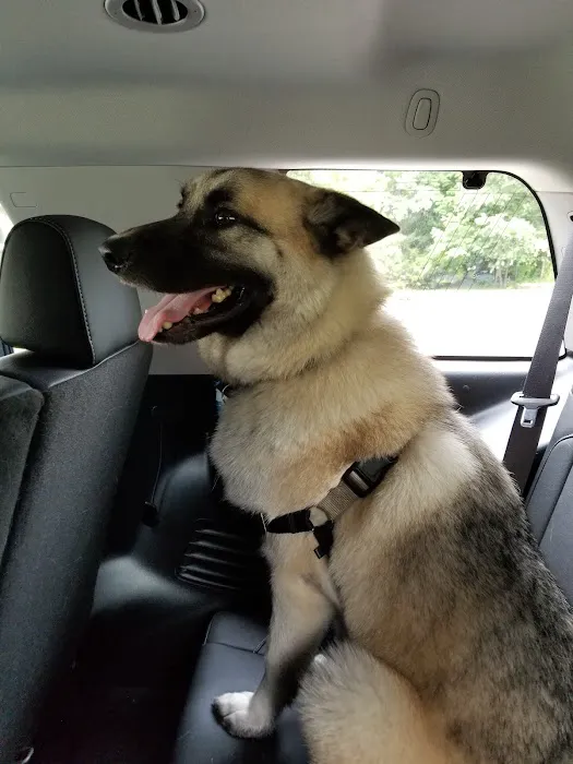 Jockey Hollow Veterinary Practice Picture 9