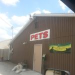 Paws and Claws & Company