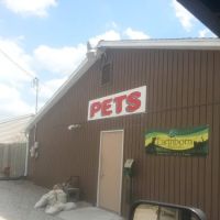 Paws and Claws & Company ico