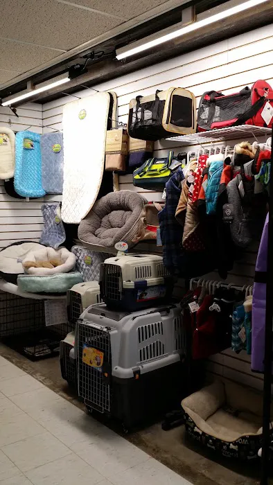 Paws and Claws & Company Picture 5