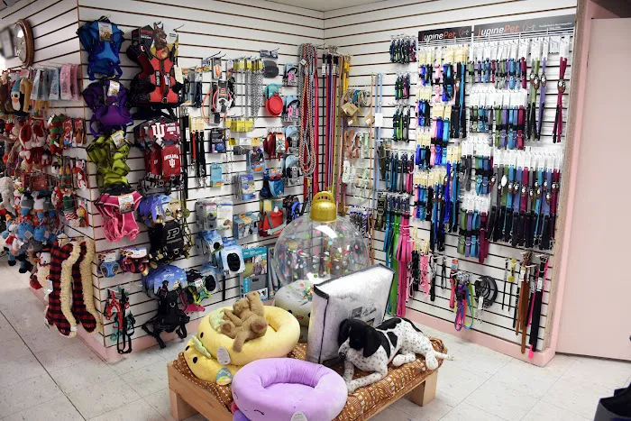 Paws and Claws & Company Picture 9