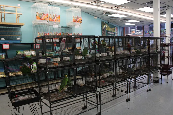 Birdman's Exotics Picture 1