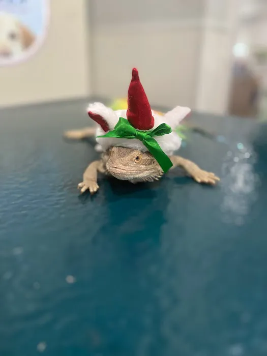 Country Willow Veterinary Hospital Picture 1