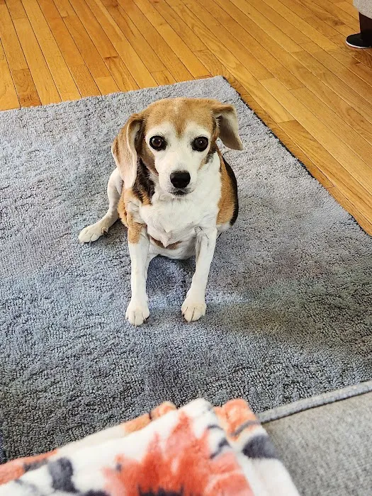 Montville Veterinary Group Picture 1