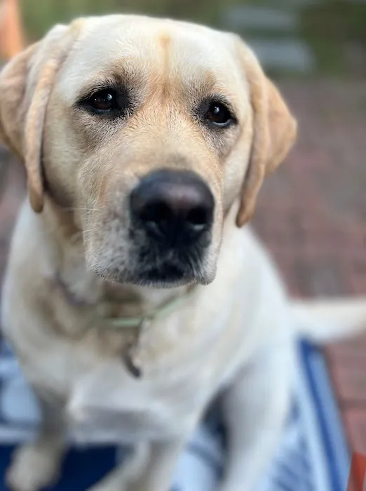 Montville Veterinary Group Picture 2