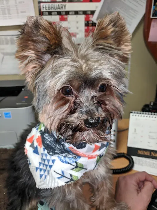 Montville Veterinary Group Picture 7